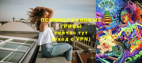 ПСИЛОЦИБИНОВЫЕ ГРИБЫ Каменск-Шахтинский