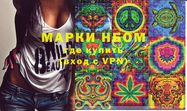 молекула духа Каменка