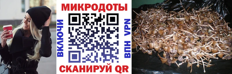МЕГА зеркало  Красноармейск  Псилоцибиновые грибы MAGIC MUSHROOMS 